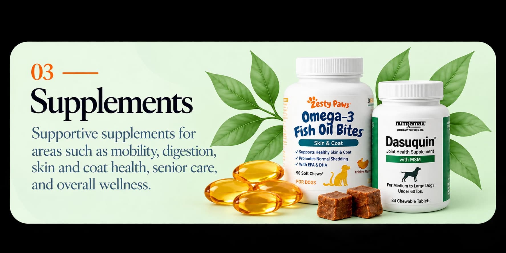 Supplements — supportive products for mobility, digestion, skin and coat health, senior care, and wellness.