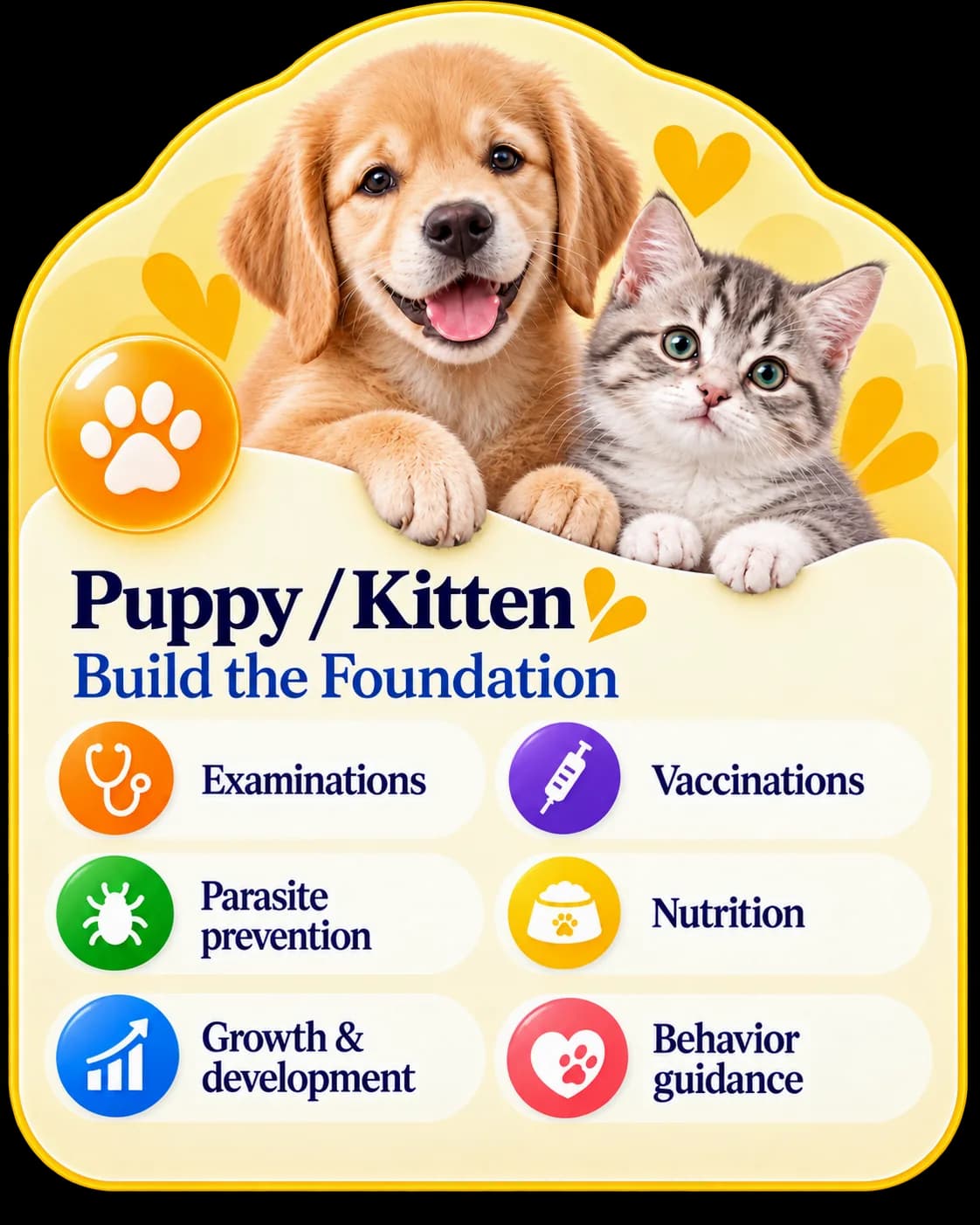 Puppy and kitten preventive care card showing life-stage guidance for puppy and kitten wellness.