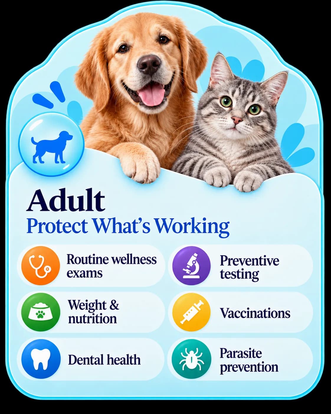 Adult pet preventive care card showing adult wellness priorities.