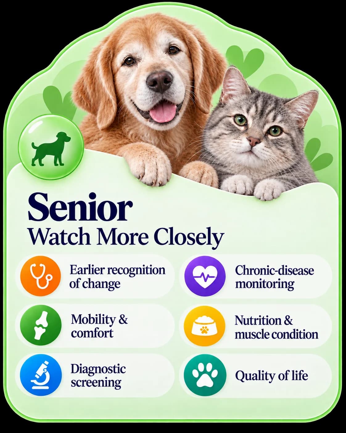Senior pet preventive care card showing senior wellness monitoring priorities.