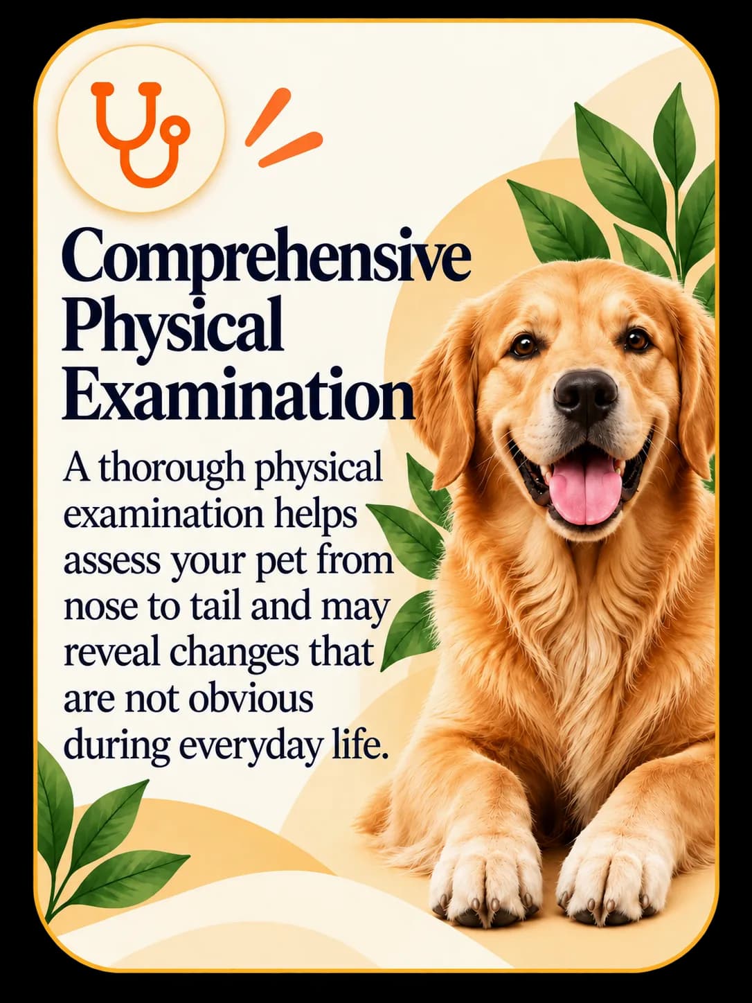 Comprehensive Physical Examination