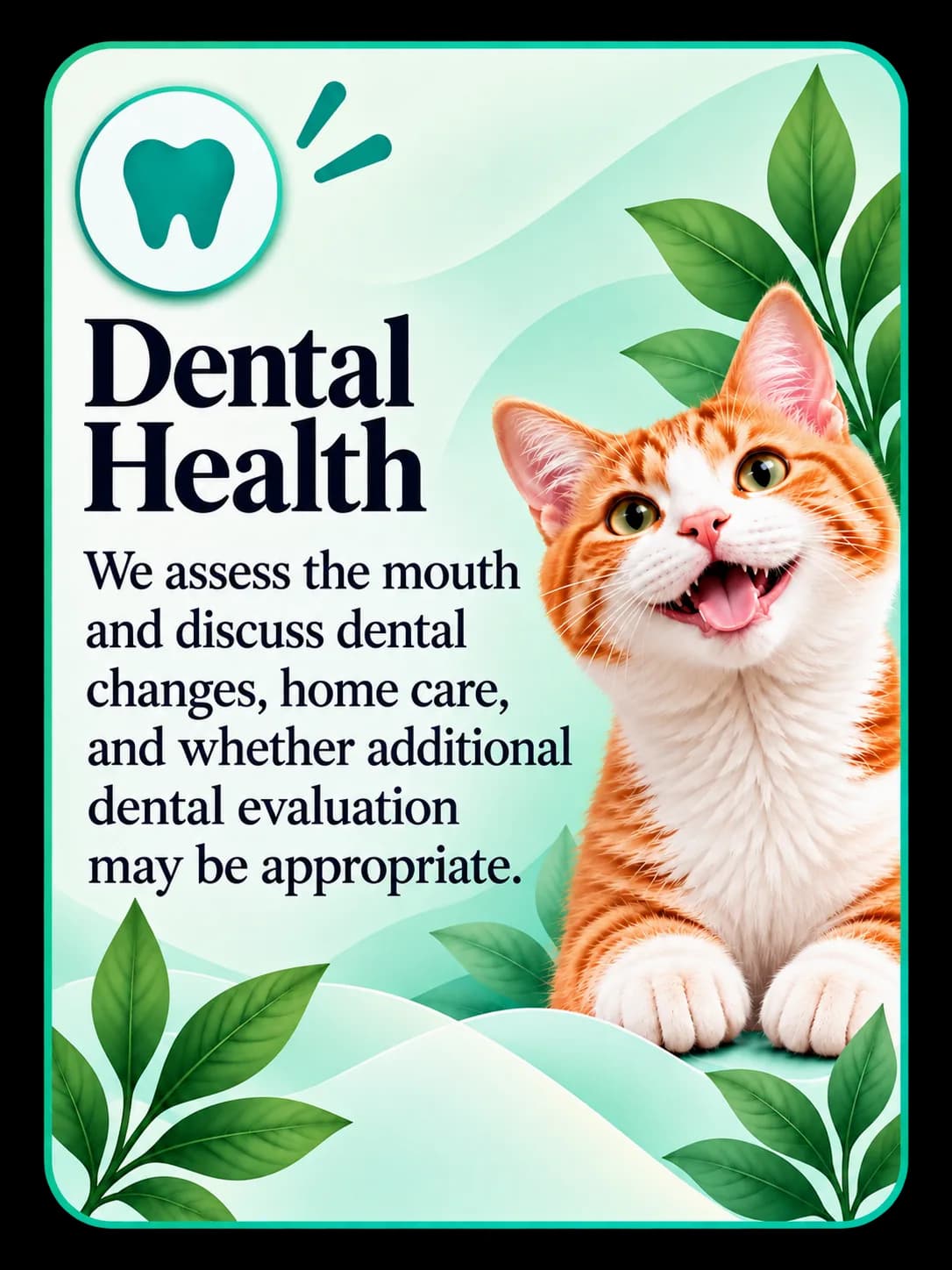 Dental Health