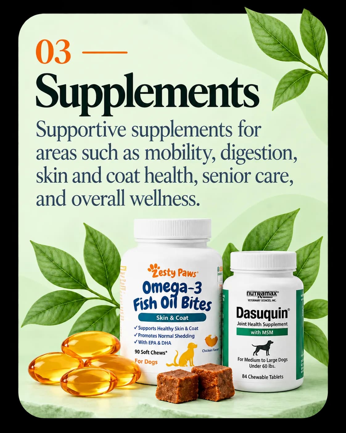 Supplements — supportive products for mobility, digestion, skin and coat health, senior care, and wellness.